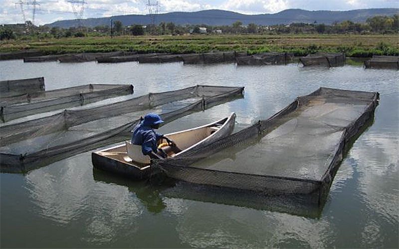 Planning for success in your aquaculture business