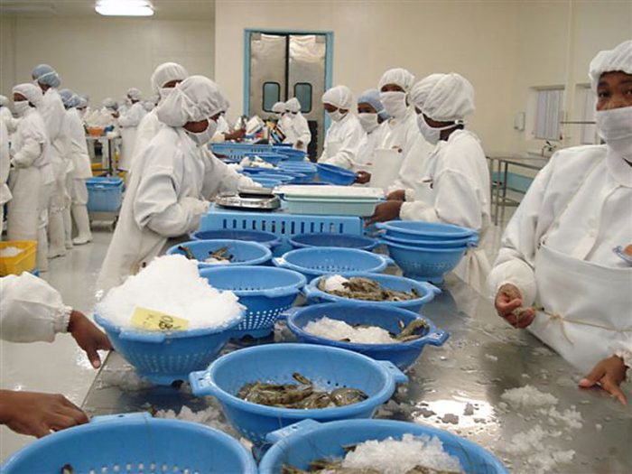 Fish Processing & Marketing MacAlister Elliott & Partners