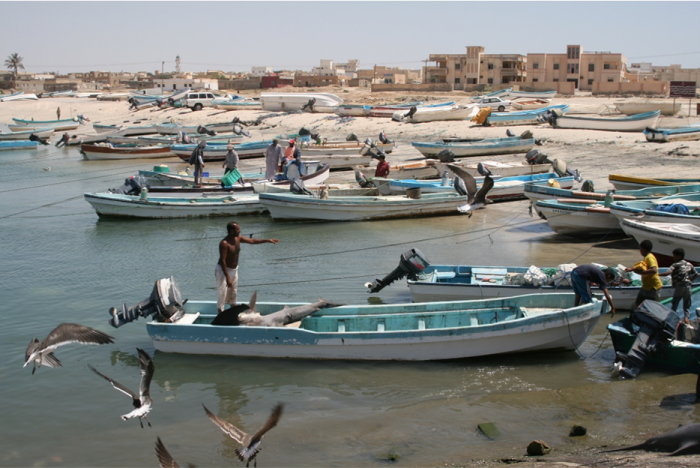 The traditional artisanal fishing vessels that dominate the Omani fleet