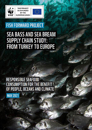 Sea Bass And Sea Bream Supply Chain Study: From Turkey To Europe
