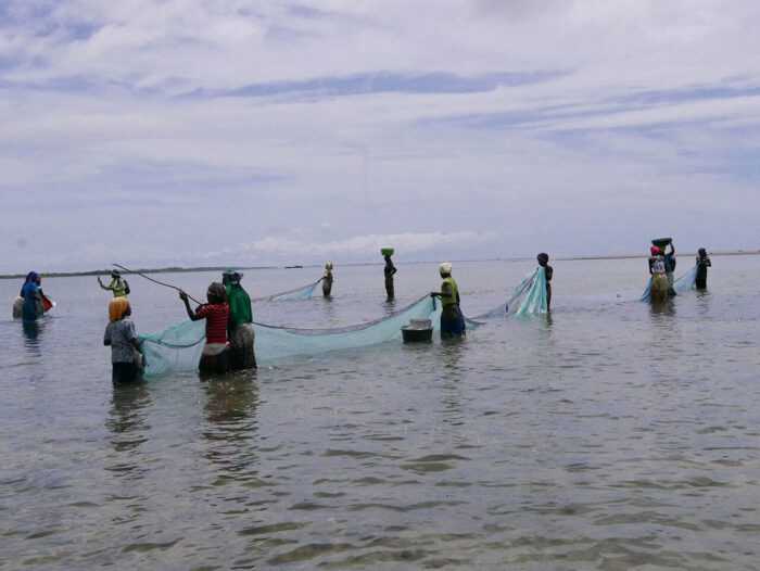 Fishing with Nets