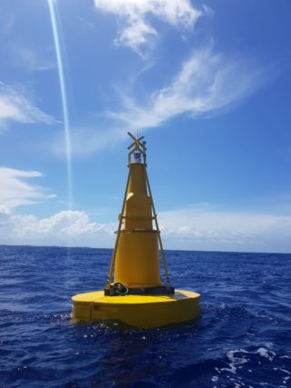 Buoy element of the FAD above water