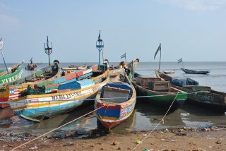 Artisanal Fishing Fleet