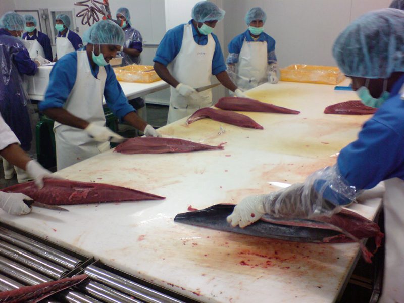Fish processing & marketing