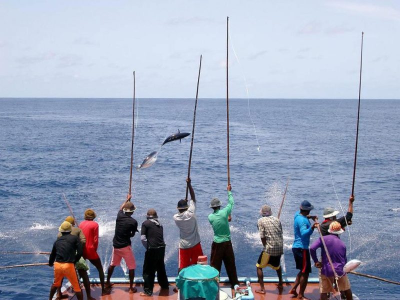 Fishing from the back of a boat