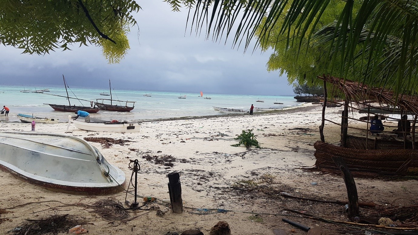 Zanzibar Marine Conservation Areas (MCAs)