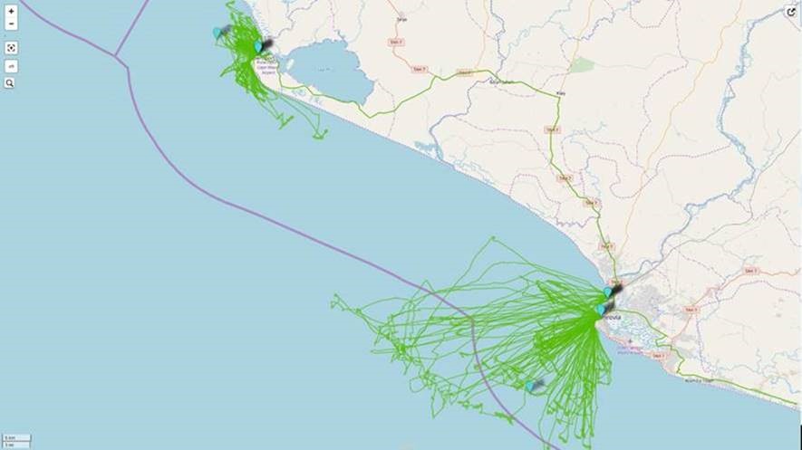 Recorded tracks to date by Pelagic Data Systems units in relation to the 12 nautical mile limit (shown in purple). 