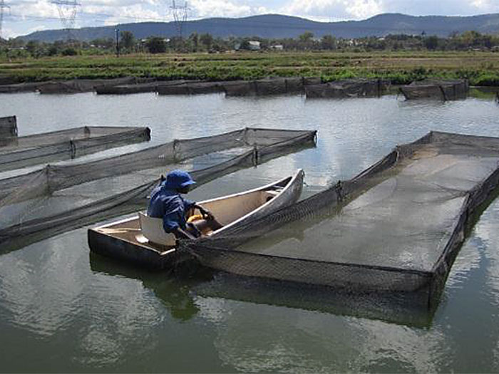 Aquaculture Services
