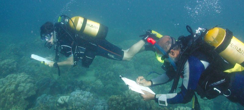 Fisheries & Benthic Surveys