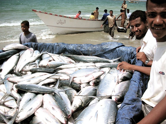 Fisheries Services
