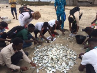 Training in the use of a fisheries data collection application