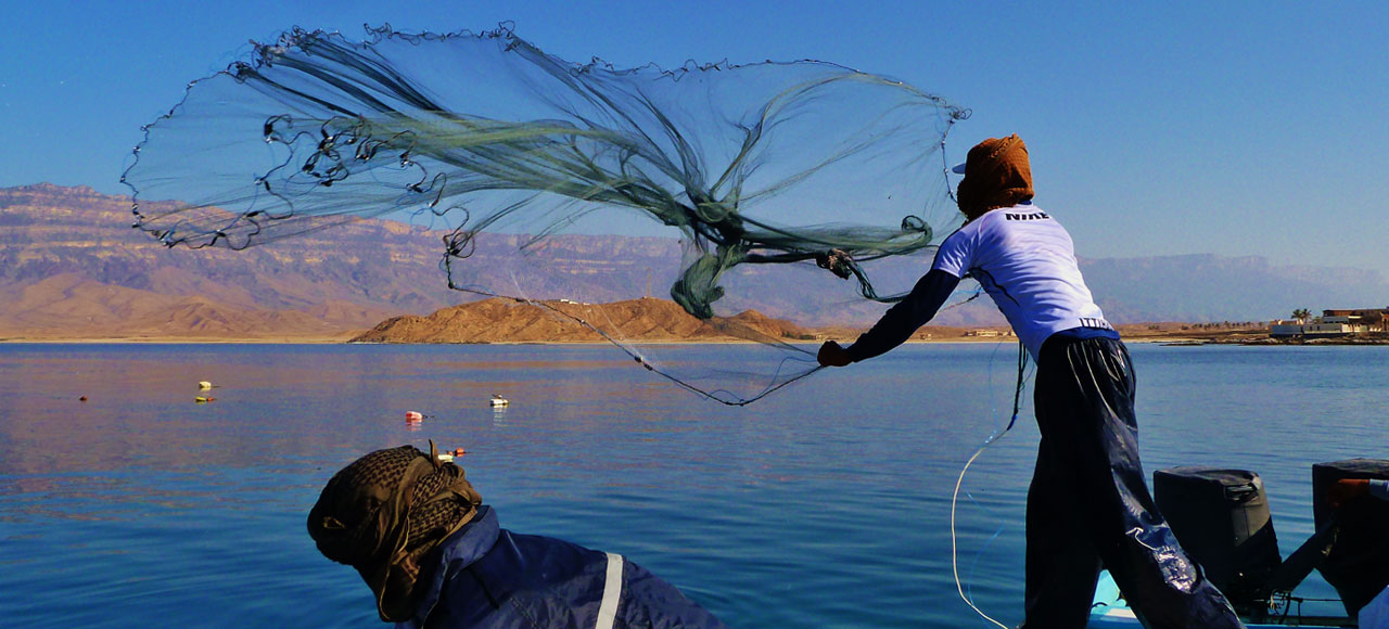 Fisheries Aquaculture Consultancy Macalister Elliott Partners